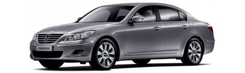Genesis 2008-2013