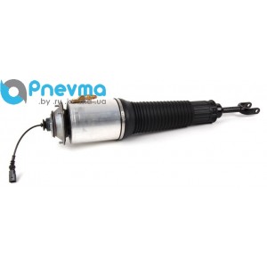 Пневмостойка передняя Audi A8 (D3, 4E)