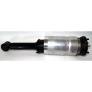 Пневмостойка передняя правая/левая Delphi без ACE RNB501620