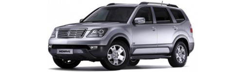 Mohave (Borrego) 2008