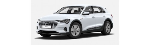 E-tron GE/55 quattro 2018-